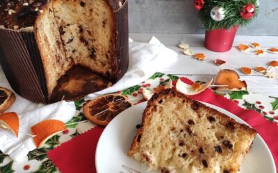 Panettone senza glutine homemade